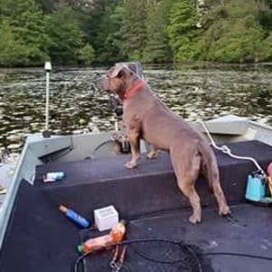 Meet your Posher, Chris